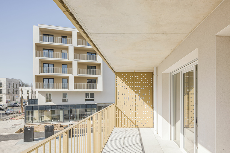 Baaum - CARRA_17081LNI_H0A1716@G-web.jpg