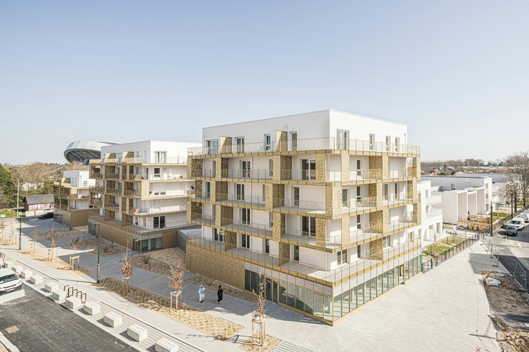 Baaum - CARRA_17081LNI_H0A1751@G-web.jpg