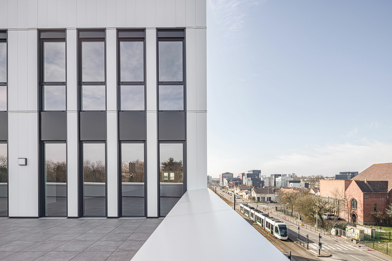 Baaum - CARRA_18082BNI_H0A0915@G-web.jpg