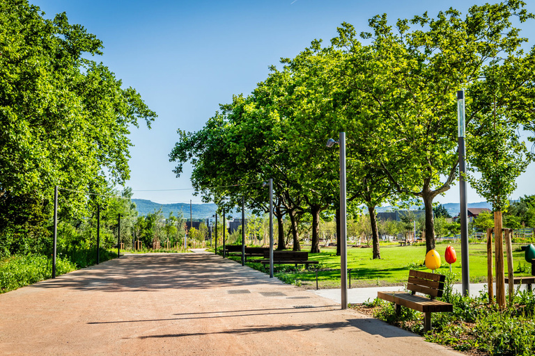 Baaum - IMG_0038_web.jpg