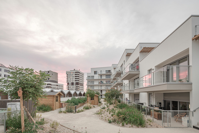 Baaum - CARRA_21043LBR_H0A7219@G-web.jpg