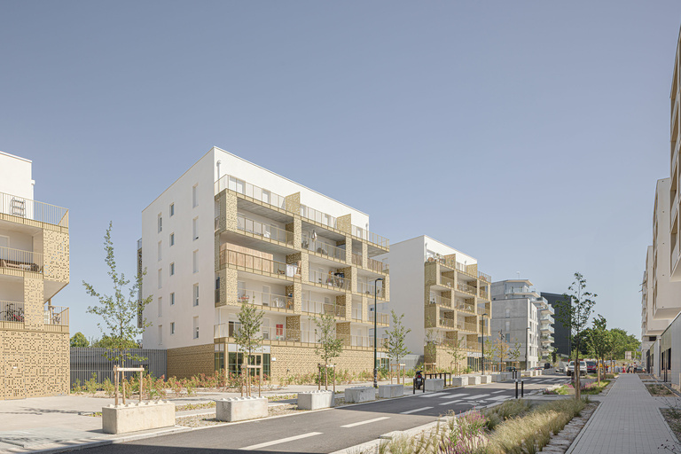 Baaum - CARRA_17081LNI__H0A5430@G-web.jpg