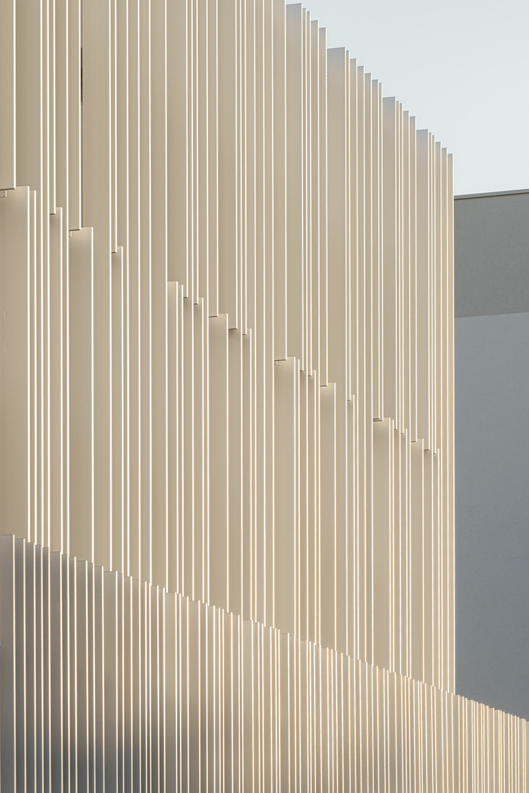 Baaum - CARRA_17081LNI__H0A6223@G-web.jpg