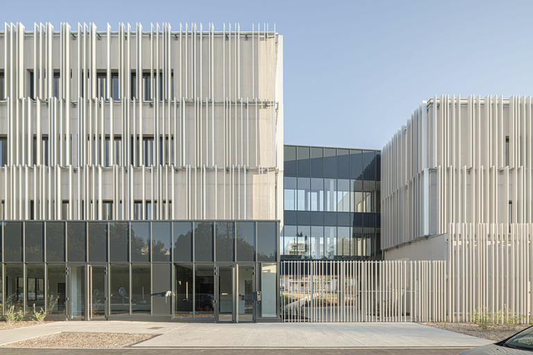 Baaum - CARRA_17081LNI__H0A6191@G-web.jpg