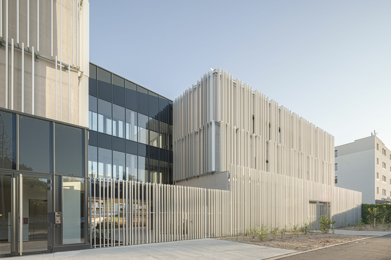 Baaum - CARRA_17081LNI__H0A6198@G-web.jpg