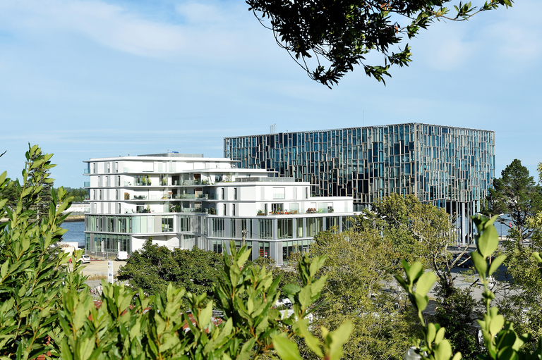 Baaum - L’Anoriante