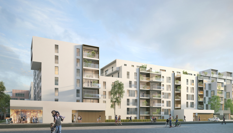 Baaum - Ilot Saint Antoine