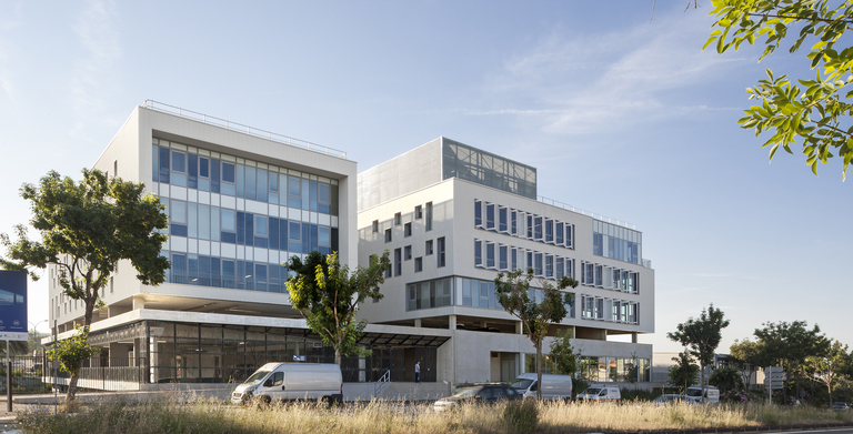 Baaum - Jaguar Network